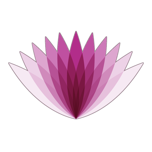Ascent Union Limited