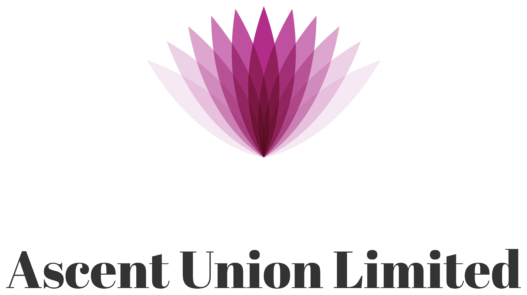 Ascent Union Limited